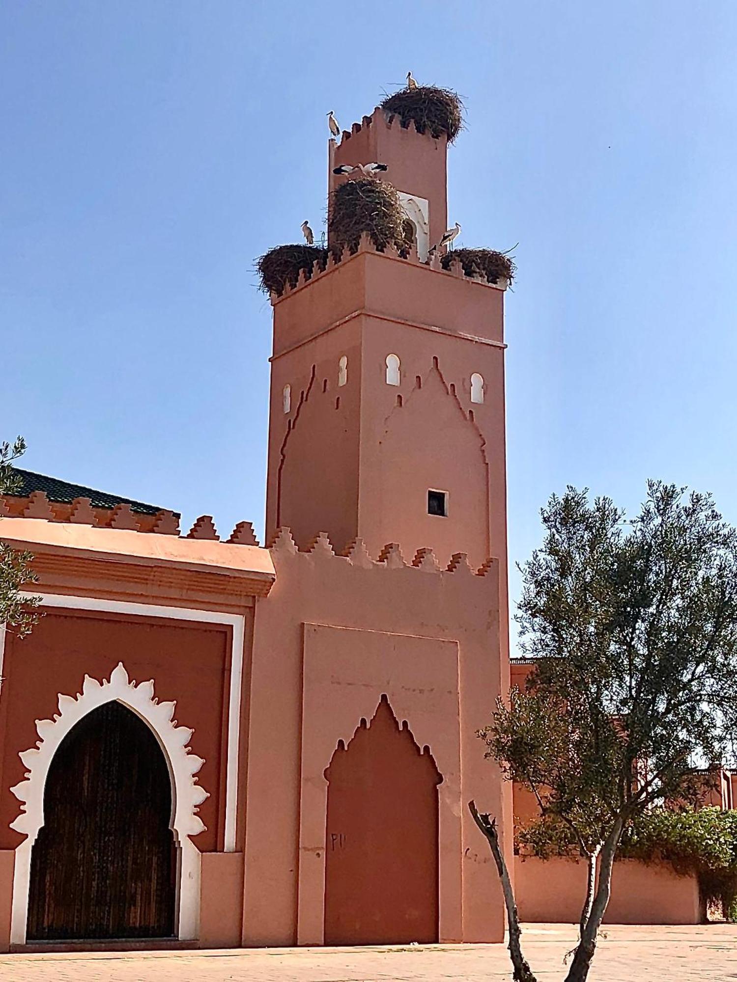 Riad Abbassia Marrakech Premiere Marrakesh Exterior photo