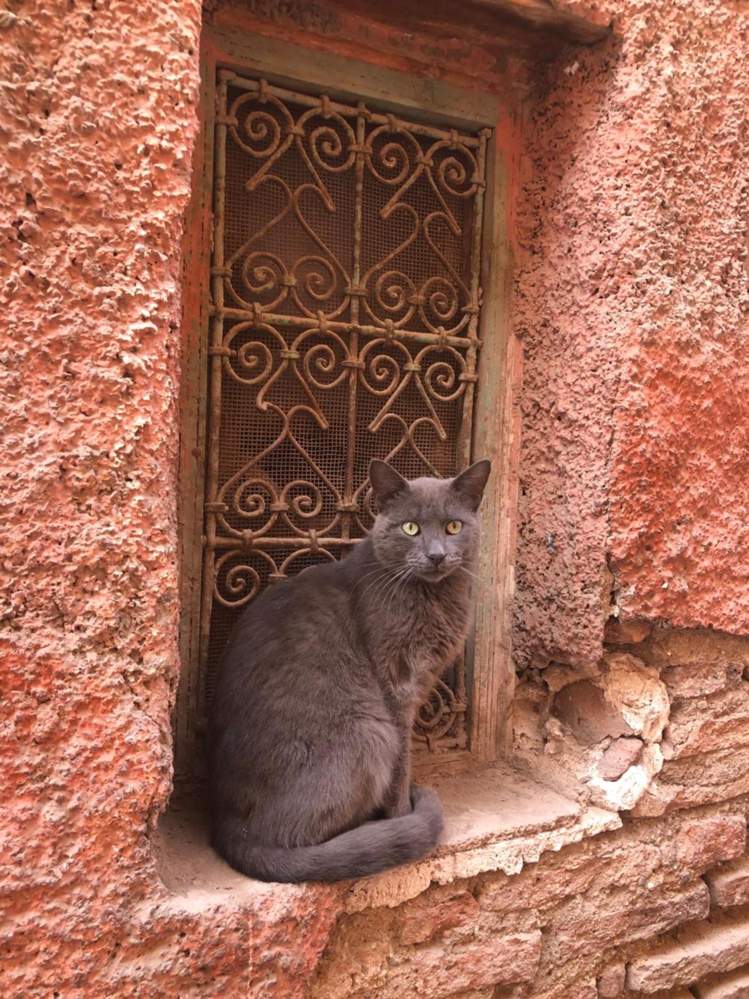 Riad Abbassia Marrakech Premiere Marrakesh Exterior photo